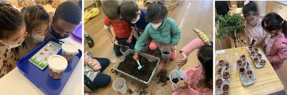 Preschool Orange Exploring Living Things June 2022 Preschool Orange Exploring Living Things Collage June 2022