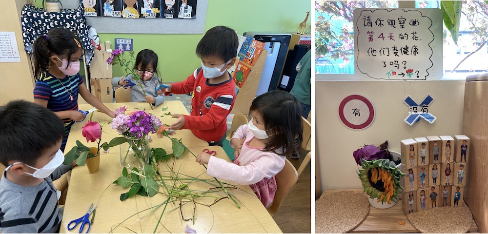 Preschool Red Class Exploring Living Things June 2022