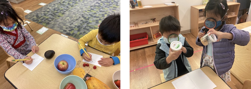 Preschool Gold Class Exploring Living Things Collage June 2022 Preschool Gold Class Exploring Living Things Collage June 2022