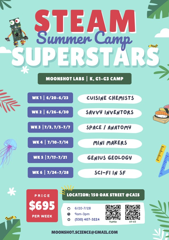 STEAM Summer Camp Flyer