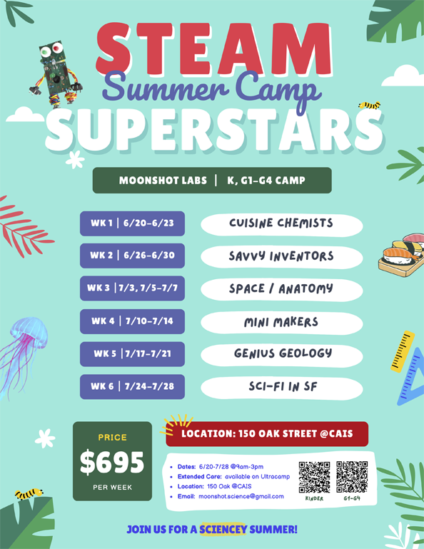 STEAM Summer Camp Flyer